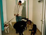 Unser Hundesitter Oliver mit Tom,Jerry,Sino, Crümel und Lissy